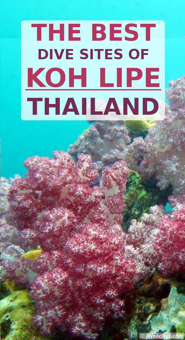 Koh Lipe - The Best Dive Sites of Southern Thailand - Dive O'Clock!