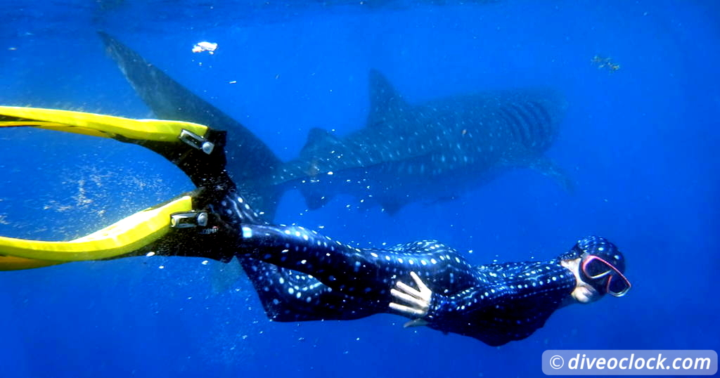10 Simple Tips to Save Money on SCUBA Gear  Caribbean Mexico WhaleSharks 