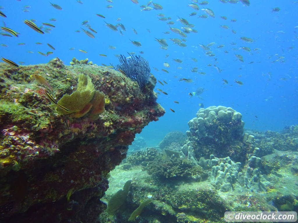 Cabo Pulmo - Incredible Diving in the Sea of Cortez (Mexico) - Dive O ...